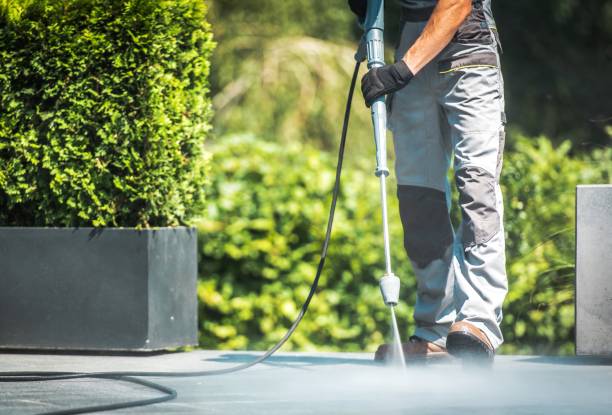 Best Sidewalk and Walkway Cleaning  in Atmore, AL