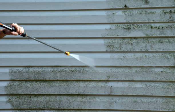Best Residential Exterior Washing  in Atmore, AL